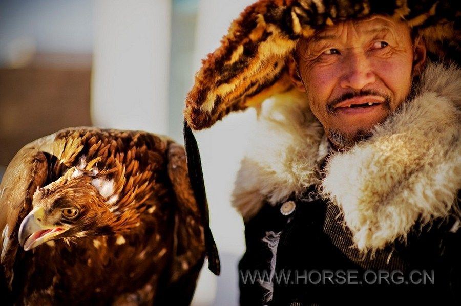 牧人：哈萨克斯坦的猎鹰 (2).jpg