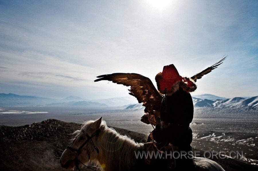 牧人：哈萨克斯坦的猎鹰 (4).jpg