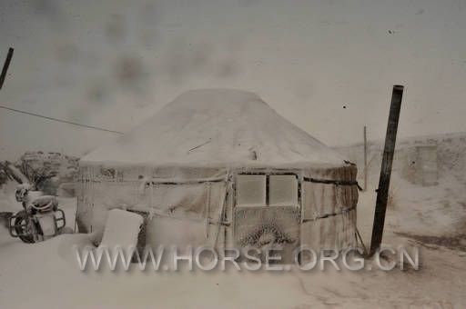 18暴风雪4.jpg