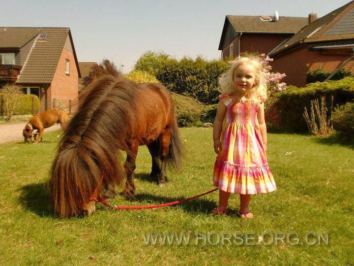 Ponies and little girl.jpg