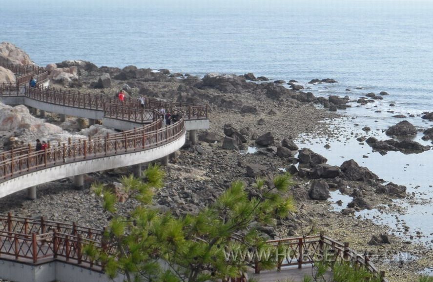 美麗的養馬島 (9).jpg