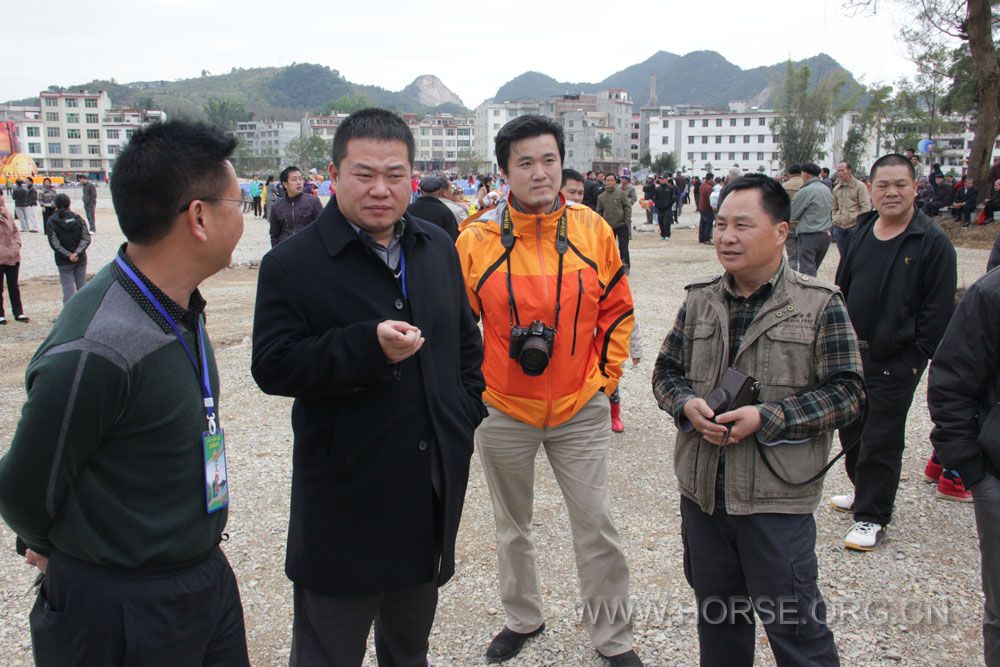 矮马节现场杨武庆先生与马界人士共同探讨矮马的发展方向