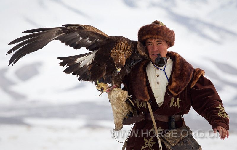 哈萨克斯坦年度金雕狩猎赛 (6).jpg